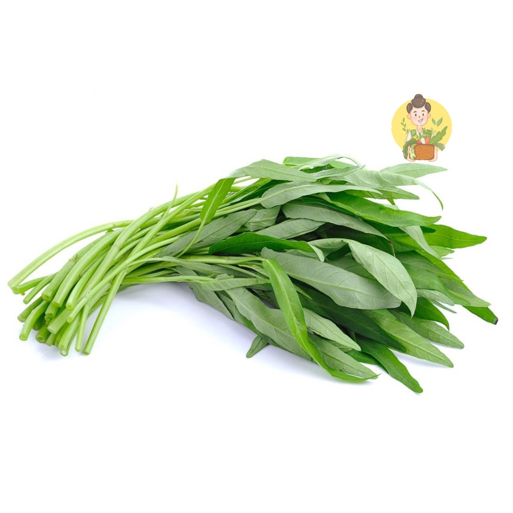 

Kangkung 1 Ikat / Sayur Kangkung Fresh