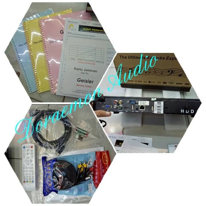 player karaoke geisler ok 300