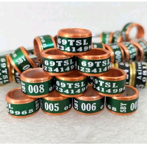 RING BURUNG MERPATI DEWASA LUBANG 9mm