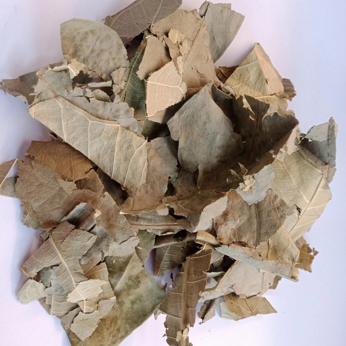 

ℝℝ ‼ DAUN SUKUN Kering 1⃣0⃣0⃣ Herbal Osteoporosis Jantung Maag Liver Diabetes