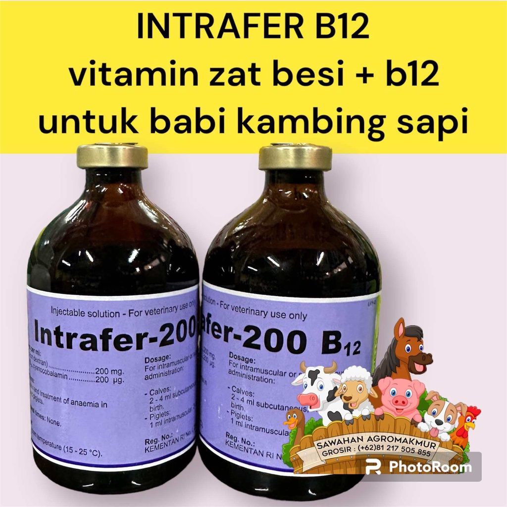 intrafer 200 b 12 intraver b12 vitamin anak babi sapi kuda kambing