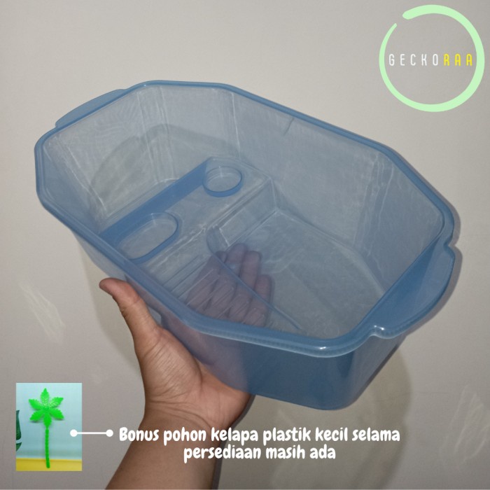 Kandang Akuarium Kura kura Turtle Kura kura Brazil Ukuran Sedang (M)