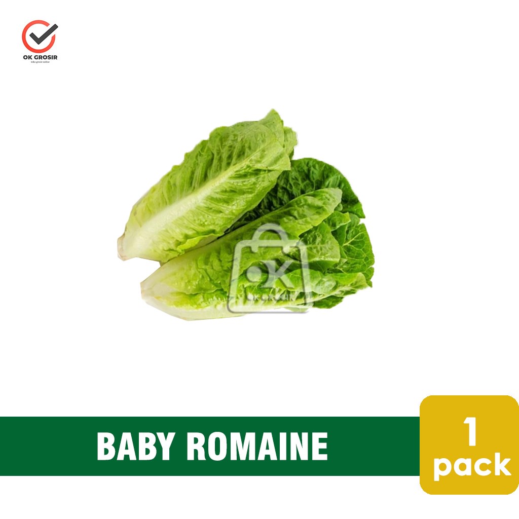 Selada Baby Romaine / Sayur Baby Romaine 1 Pack (KHUSUS INSTANT)