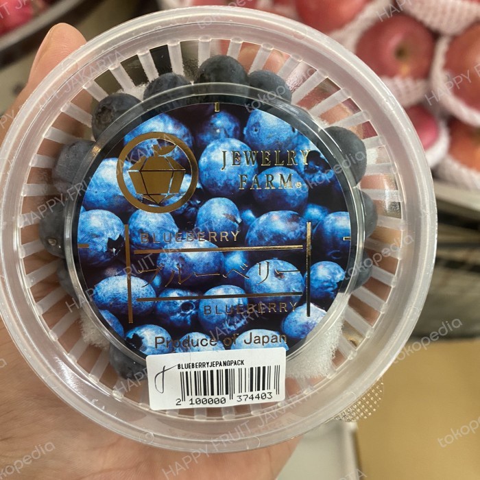 

Blueberry jepang super fresh | Buah Blueberries jepang jewelry farm