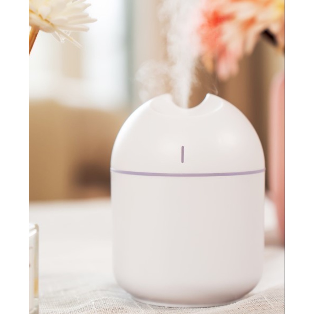 Mini Humidifier Aromatherapy Oil Diffuser