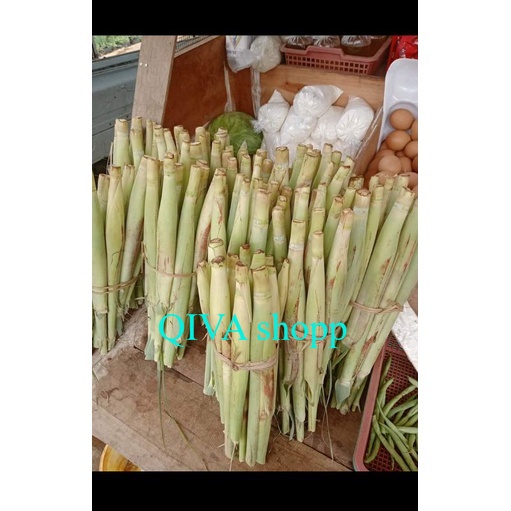 

terubuk sayur/terubuk telurr/turubuk bunga dari kebun indah