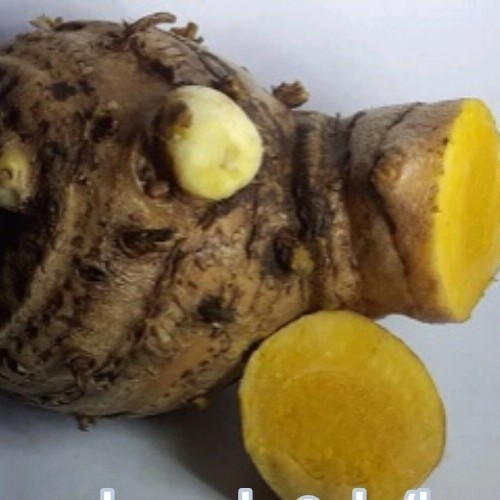 

temulawak segar 1kg herbal