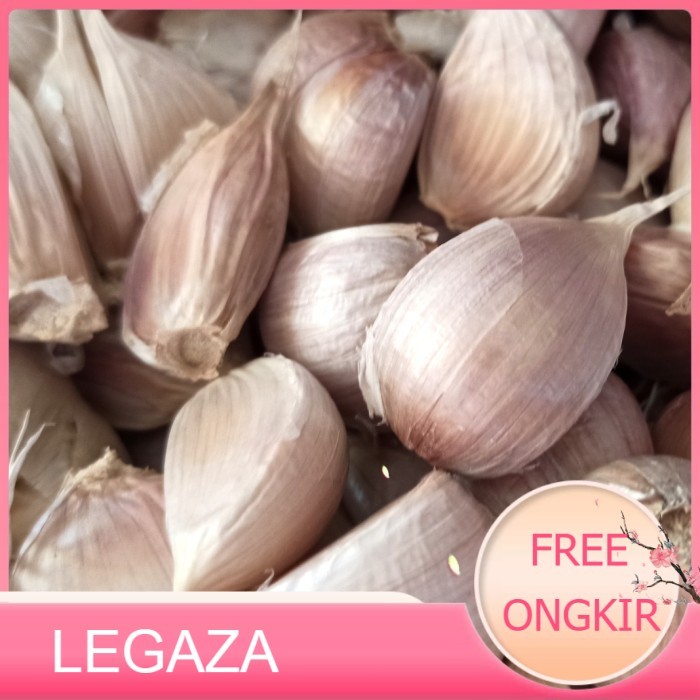 

bang putih kating 1kg - Legaza