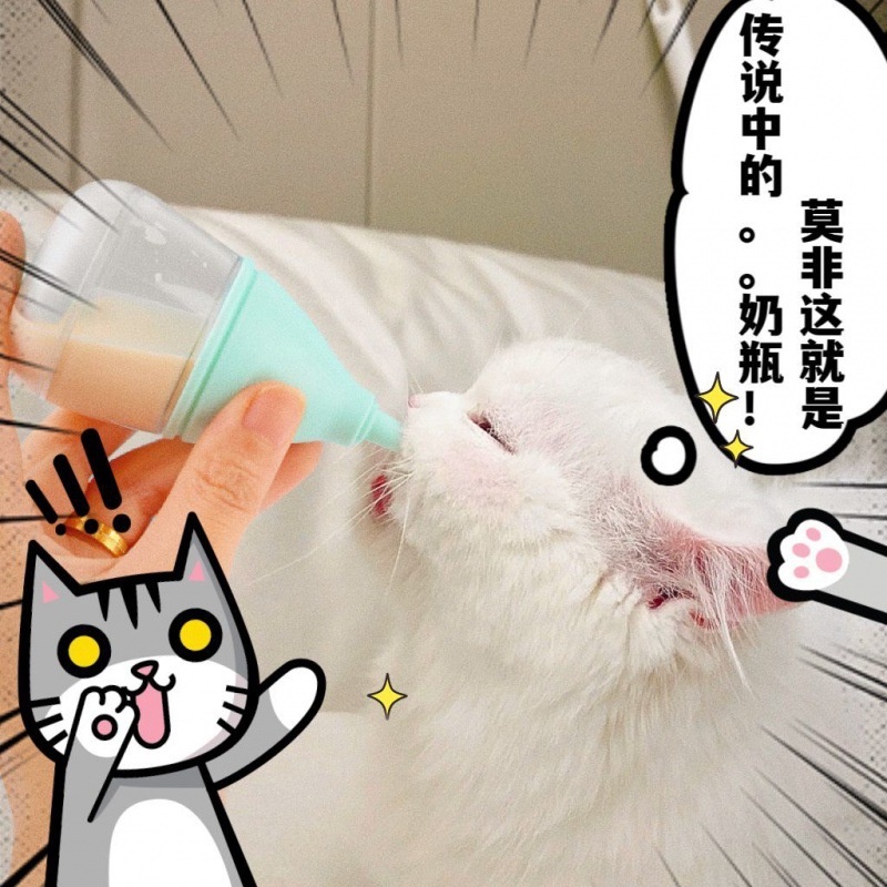 Dot Empeng Anak Kucing Baru Lahir Anti Tersedak Bisa Untuk Kelinci Dll Pentil Niple Untuk Anakan Kit
