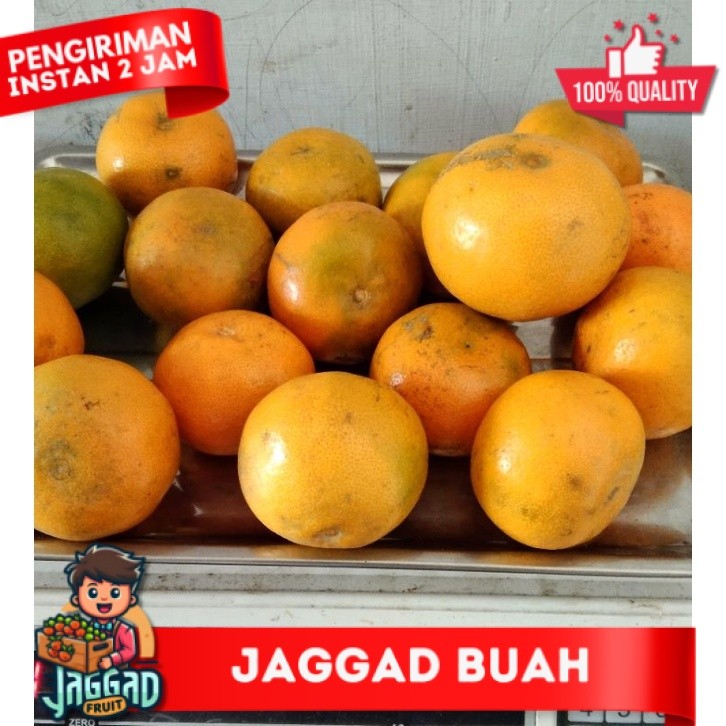 

jeruk Medan Brastagi berat 1 kg, 7-9 buah JAGGAD FRUIT