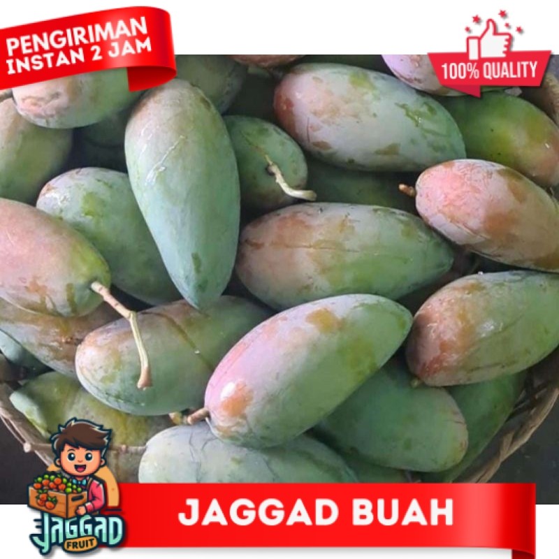 

MANGGA KIOJAY THAILAND 800 gr- 900 gr 1buah JAGGAD FRUIT
