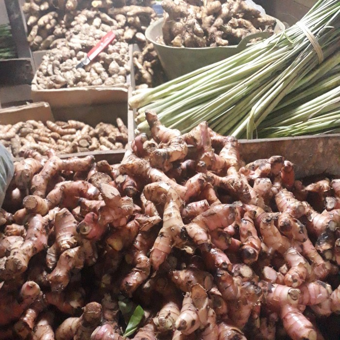 

Paket Bumbu Dapur Lengkap Segar