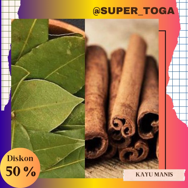 BIBIT TANAMAN POHON KAYU MANIS KUALITAS UNGGUL SUPER MURAH BIBIT KAYU MANIS