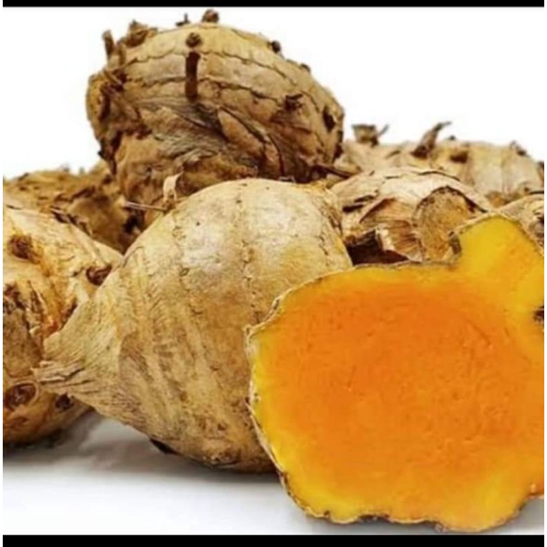 

Temulawak temu organik 250gr segar