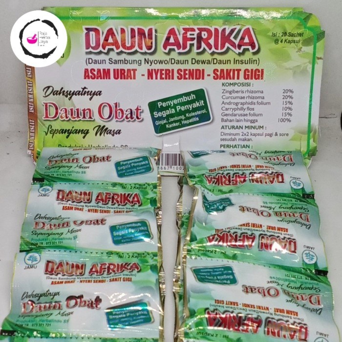 

Jamu Herbal Tradisional Daun Afrika