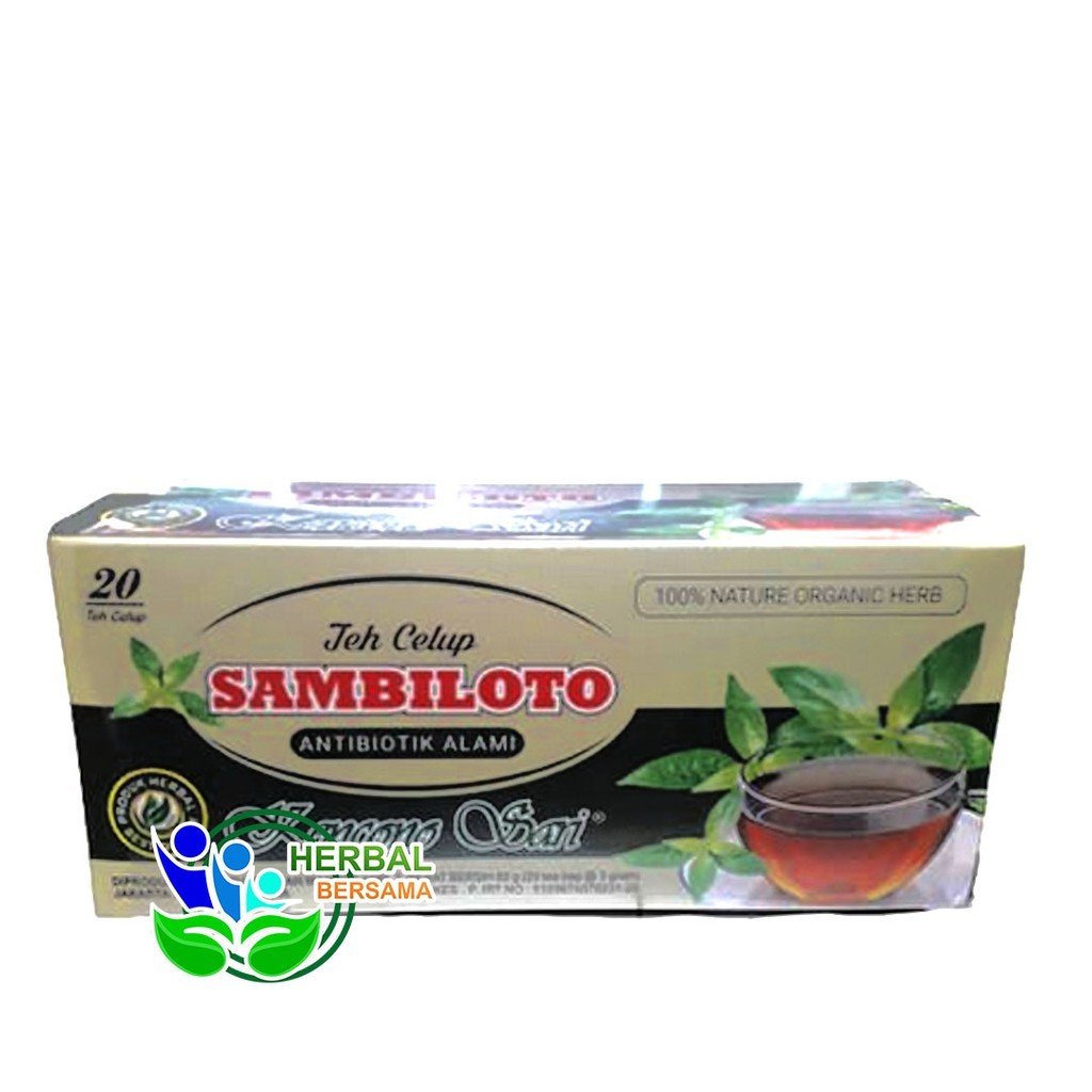 

Teh Celup SAMBILOTO Kencono Sari | Antibiotik Alami