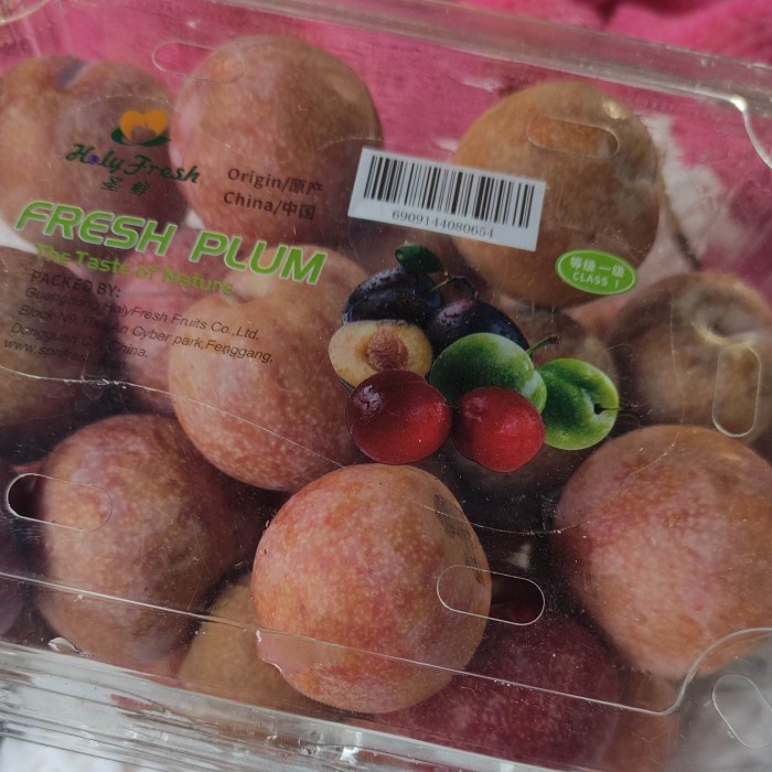 

buah plum prem pasar online makassar