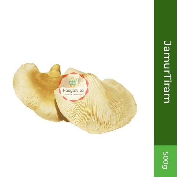 

Jamur Tiram 500gr - FasyAnita Mart Denpasar