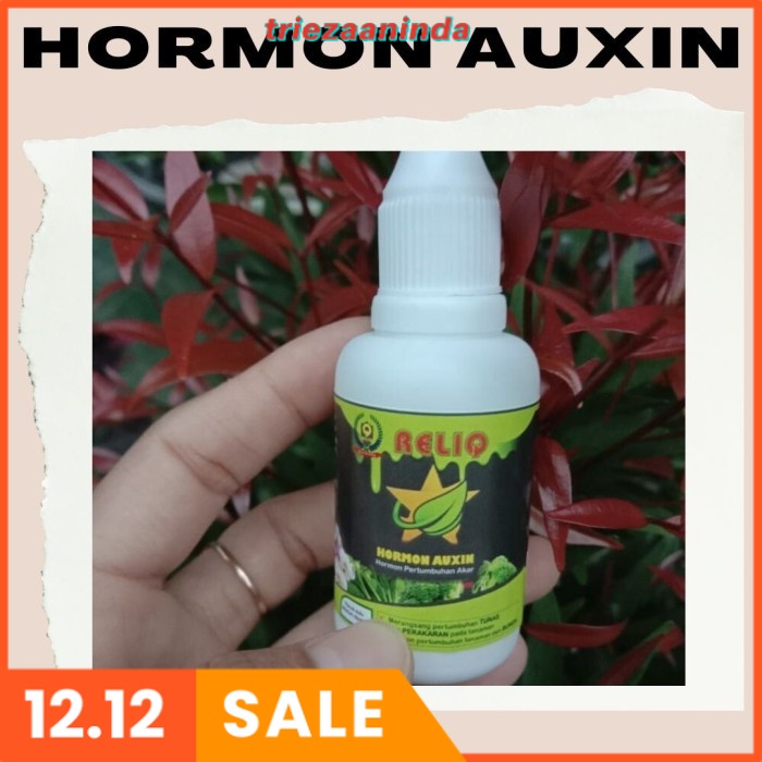 Hormon Auxin Auksin Hormon Penumbuh Akar Stek Cangkok RELIQ