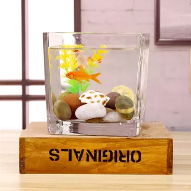 AQUARIUM MINI KOTAK PERSEGI 12 CM / AKUARIUM IKAN HIAS KECIL / TANK CUPANG GUPPY