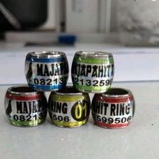 RING MERPATI  BAJA RODA 1CM HOLOGRAM SUPER KINCLONG