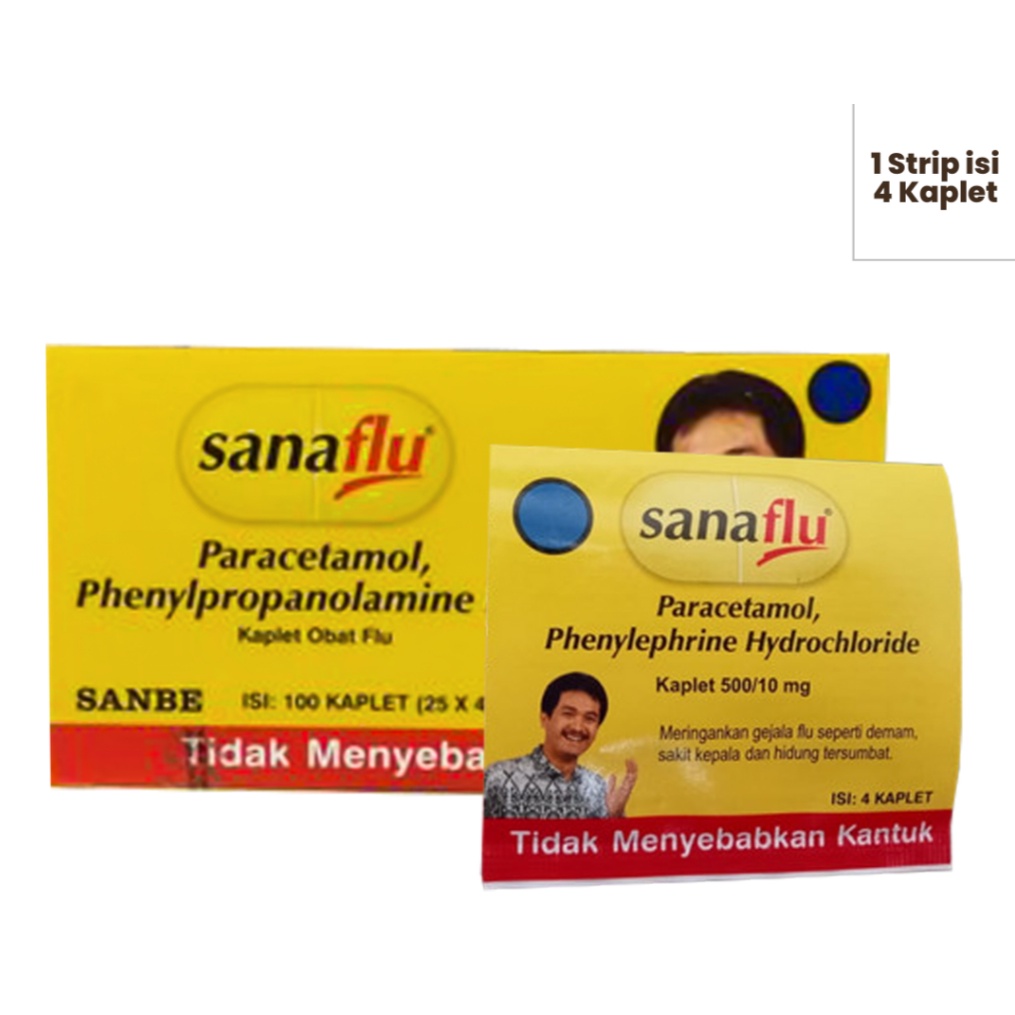 OBAT SANAFLU ISI 4 KAPLET