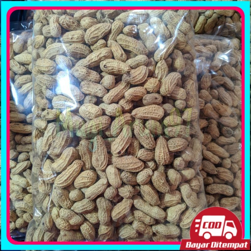 

KACANG KULIT SANGRAI 1KG/KACANG BAKAR 1KG/ KACANG RENYAH/ KACANG MURAH/KACANG KILOAN/AGEN SNACK
