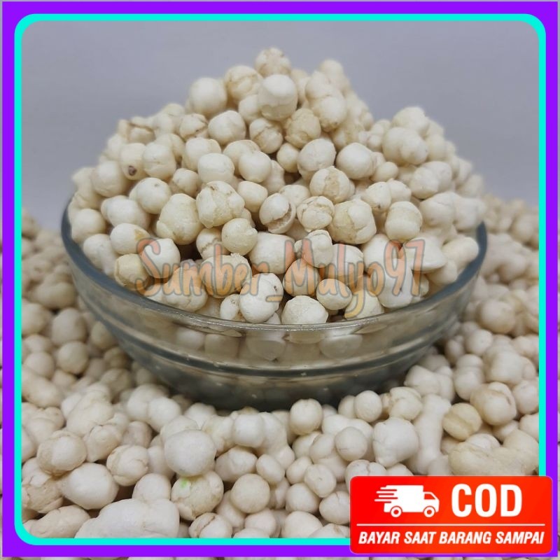 

1kg pilus kencur premium