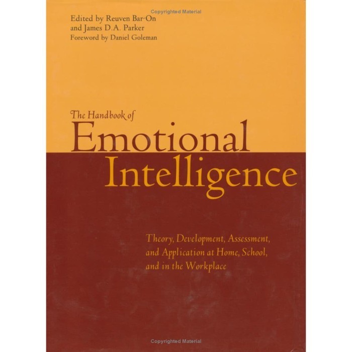 

The Handbook of Emotional Intelligence: The Theory and Practice of D