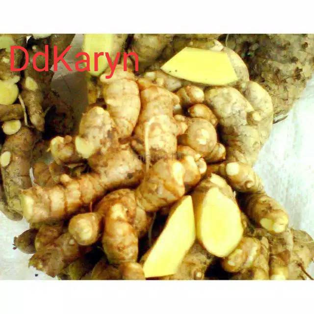 

Birdiemitrendy 1kg Temu Mangga /buah segar fresh asli