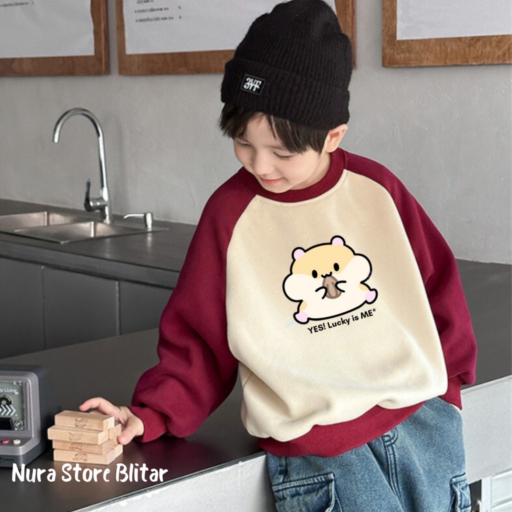 Jaket Hoodie Sweater Setelan Distro Anak Laki Laki Perempuan Umur 1 2 3 4 5 6 7 8 9 10 11 12 13 14 1