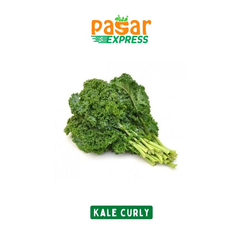 

Kale Curly / Kale Keriting 500 Gram / Produk Langka