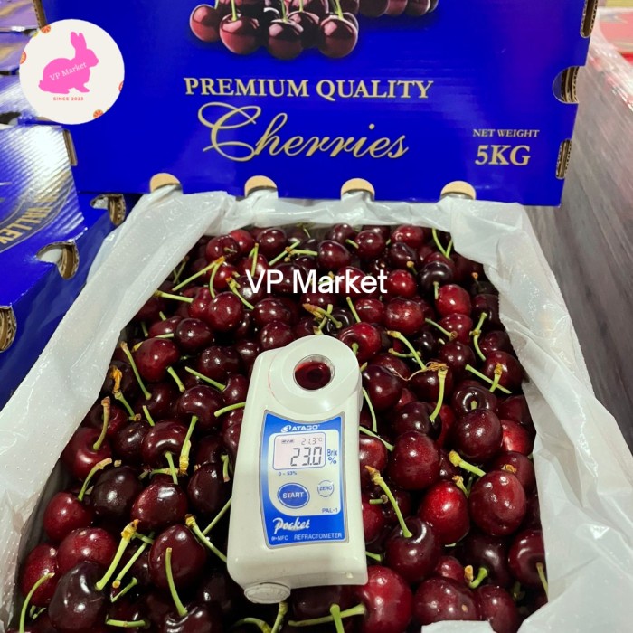 Buah Cherry Merah Fresh Import Promo | Buah Ceri Merah 500g