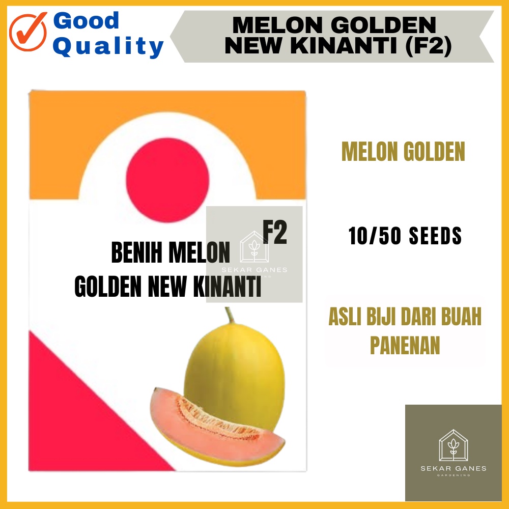 Biji Benih ASLI Buah Melon GOLDEN NEW KINANTI (F2) - Kemasan Repack 10 50 Bibit Melon Golden Panenan
