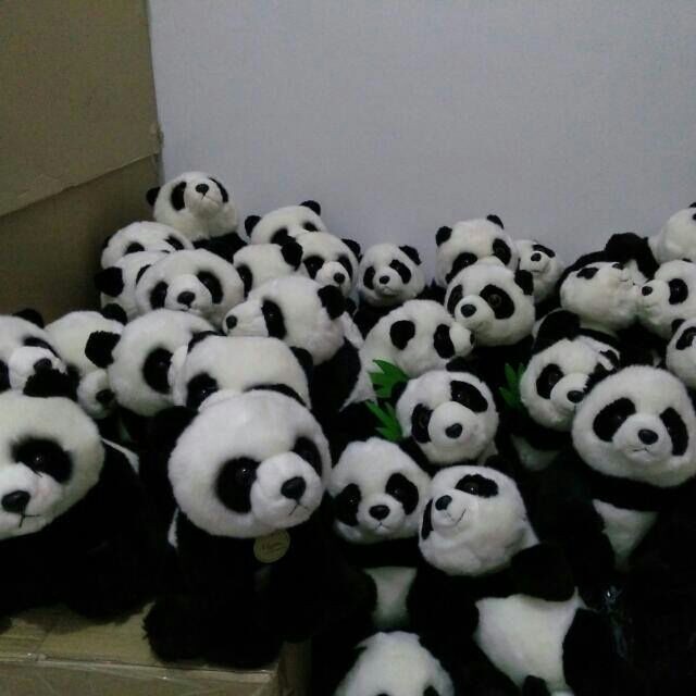 CUTE Boneka Panda Cute