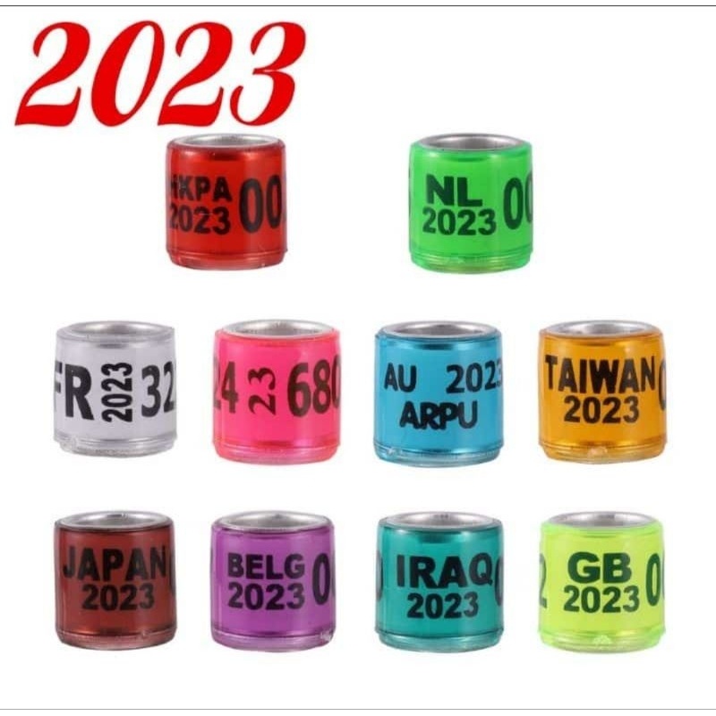 RING BURUNG MERPATI POS PIGEON IMPORT 2023