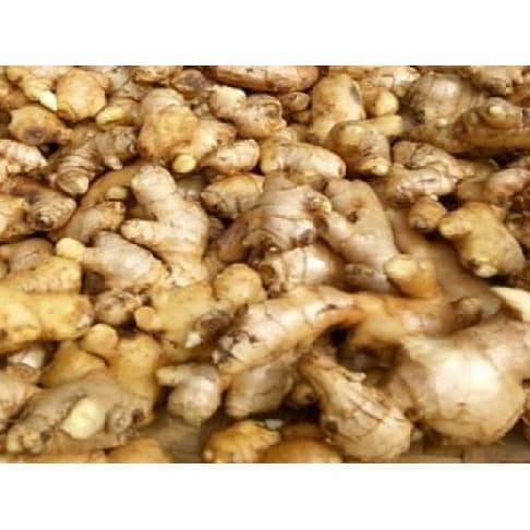

Jahe segar 100g