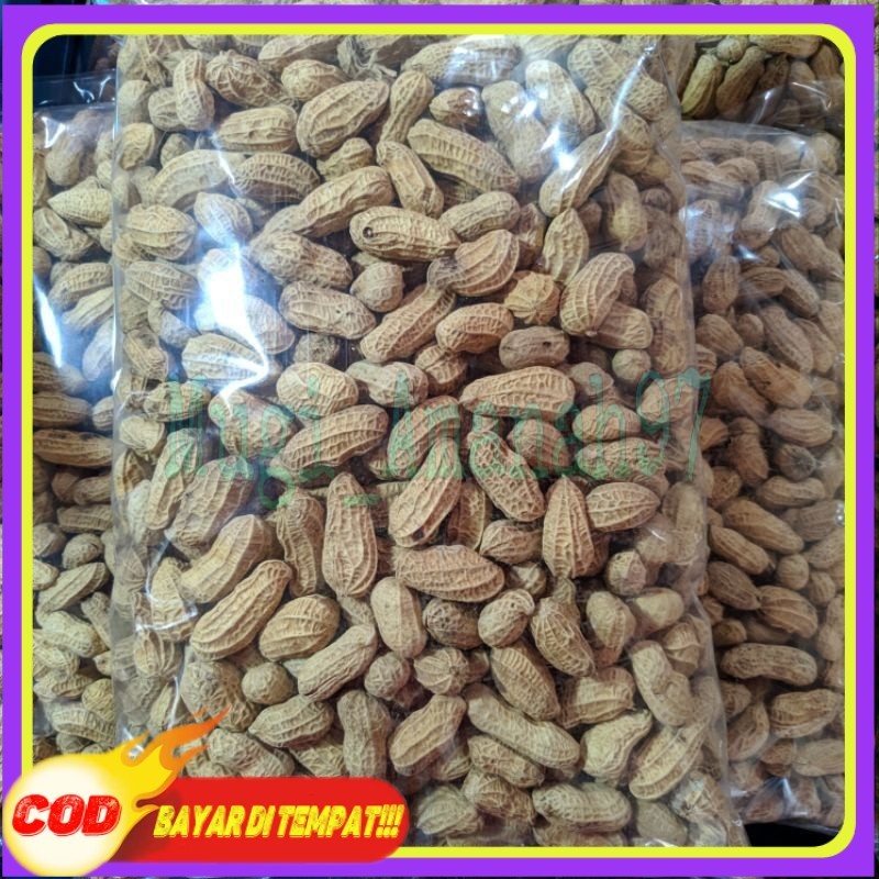 

KACANG KULIT SANGRAI 1KG/KACANG BAKAR 1KG/ KACANG RENYAH/ KACANG MURAH/KACANG KILOAN/AGEN SNACK