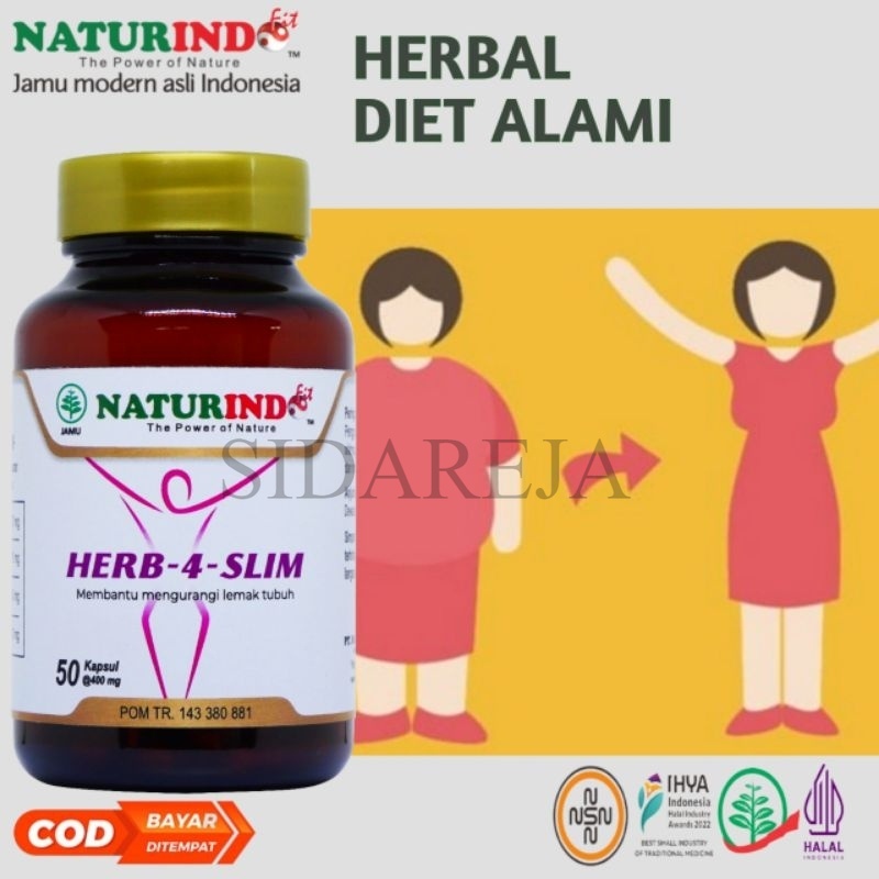 HERBASLIM Obat Diet Pelangsing Ampuh Perut Buncit Pria Wanita Instan