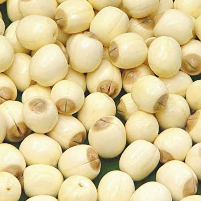 

BEST SELLER lianzirou lianci biji teratai grade B 100gr lotus seed..