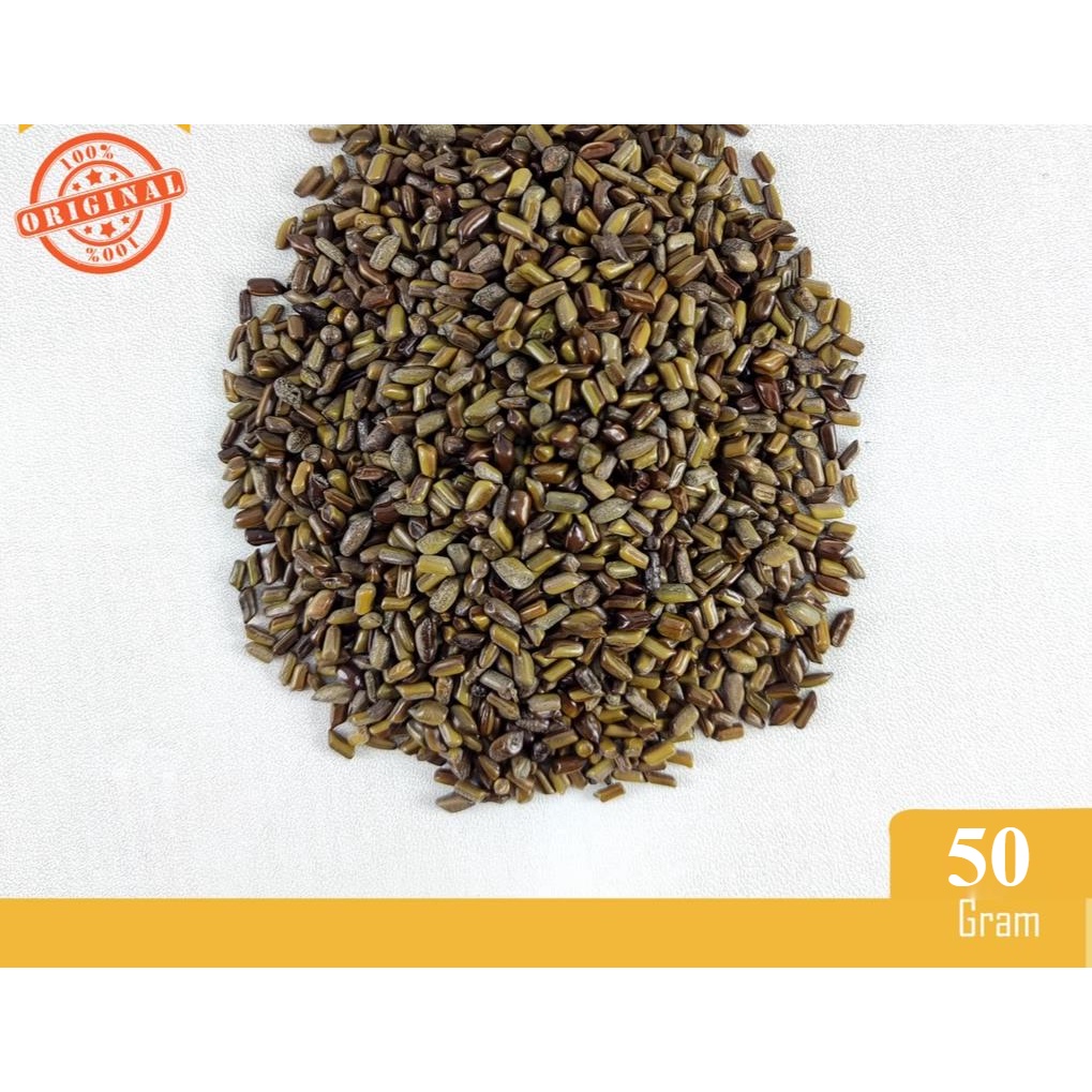 JUE MING ZI (600 gram) / SEMEN CASSIAE TORAE / Cao Jue Ming / JueMingZi / CaoJueMing / Biji Cassia /