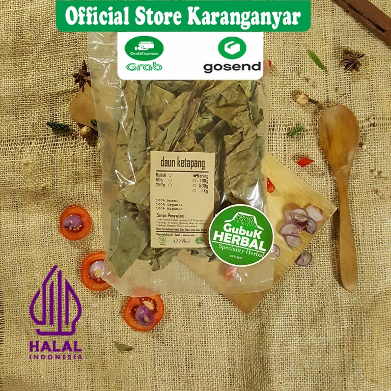 

DAUN KETAPANG KERING 50 GRAM - Terminalia Catappa / JAMINAN MURNI / DIPETIK DARI TUMBUHAN SEGAR & DIKERINGKAN DI TEMPAT BERSIH