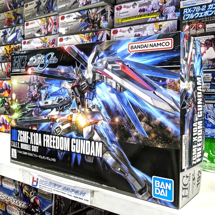 HG HGCE ZGMF-X10A Freedom Gundam