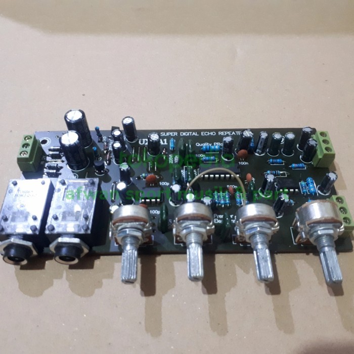 Pre Amp Mic Echo With Reverb