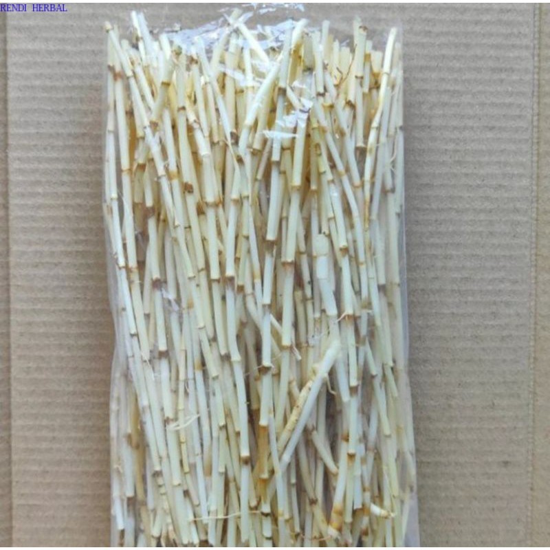 

promo AKAR ALANG ALANG SEGAR 500gram ready stok