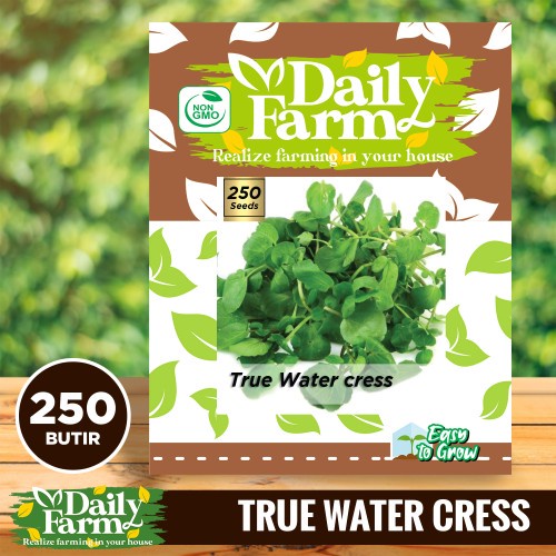 DF benih selada air TRUE WATER CRESS 250 butir import daily farm slada air bisa pot dan hidroponik