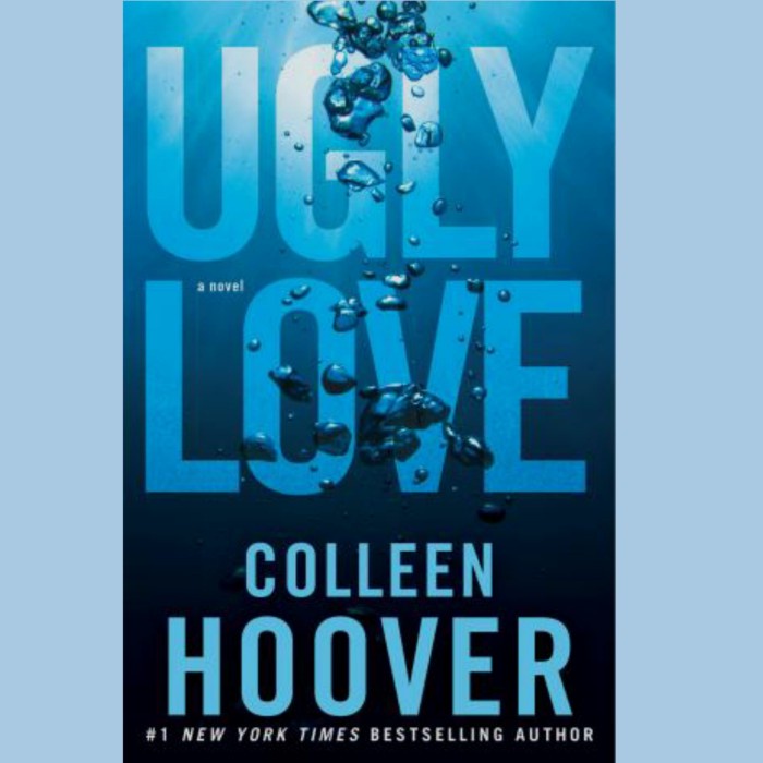 BUKU NOVEL TERLARIS UGLY LOVE COLLEN HOOVER