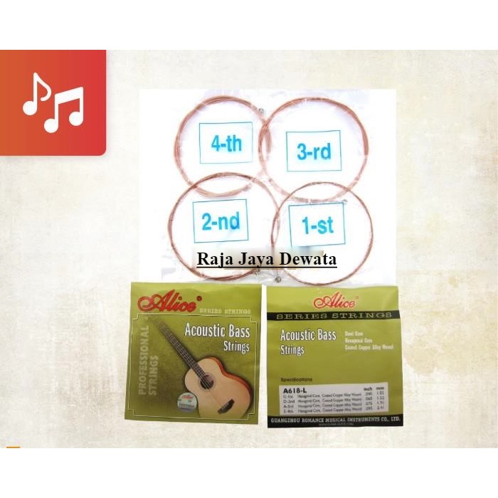 senar bass alice A618-L Akustik Senar Akustik Bas