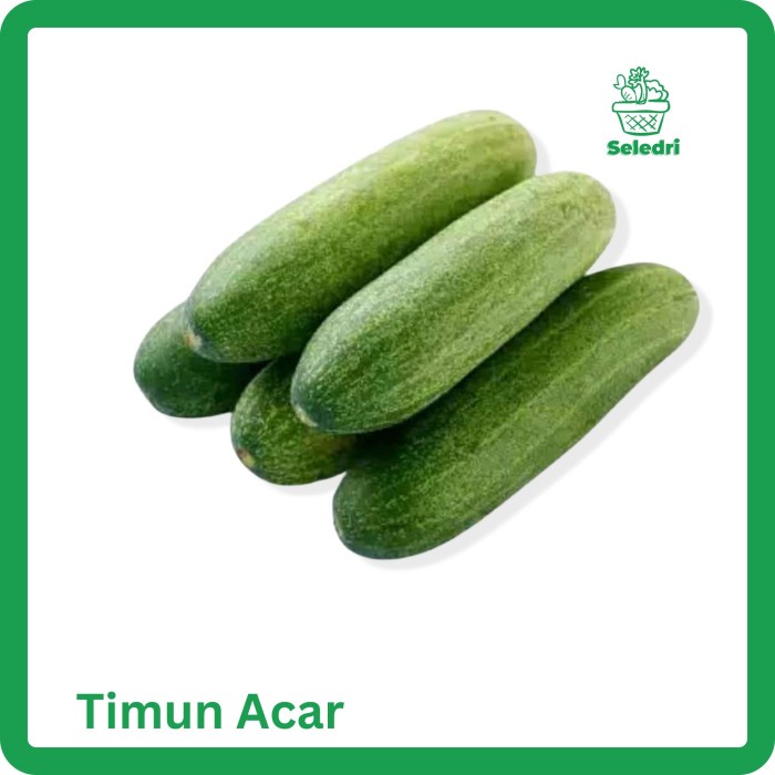 Timun Acar Mentimun Ketimun Acar Timun kecil