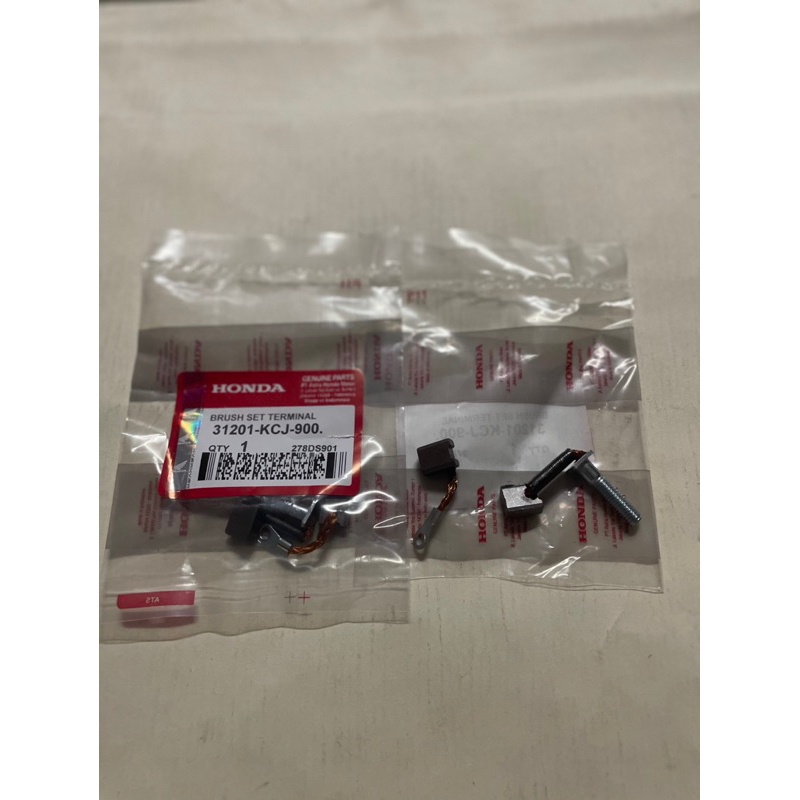 Arang Stater Tiger Cool Stater Tiger